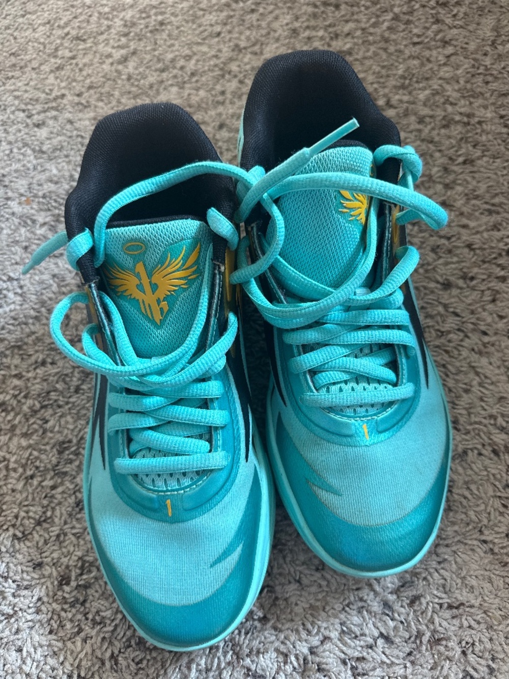 PUMA MB